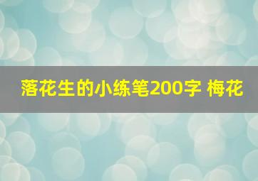 落花生的小练笔200字 梅花